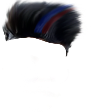 Turkey (1456x1234), Png Download