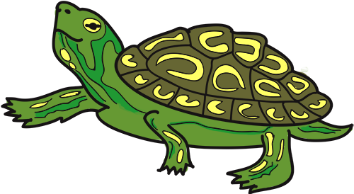 Pet Shop Boston - Clip Art (500x274), Png Download