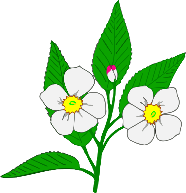 Clip Black And White Stock Apple Clipart Royalty Free - Apple Blossom Clipart (723x750), Png Download