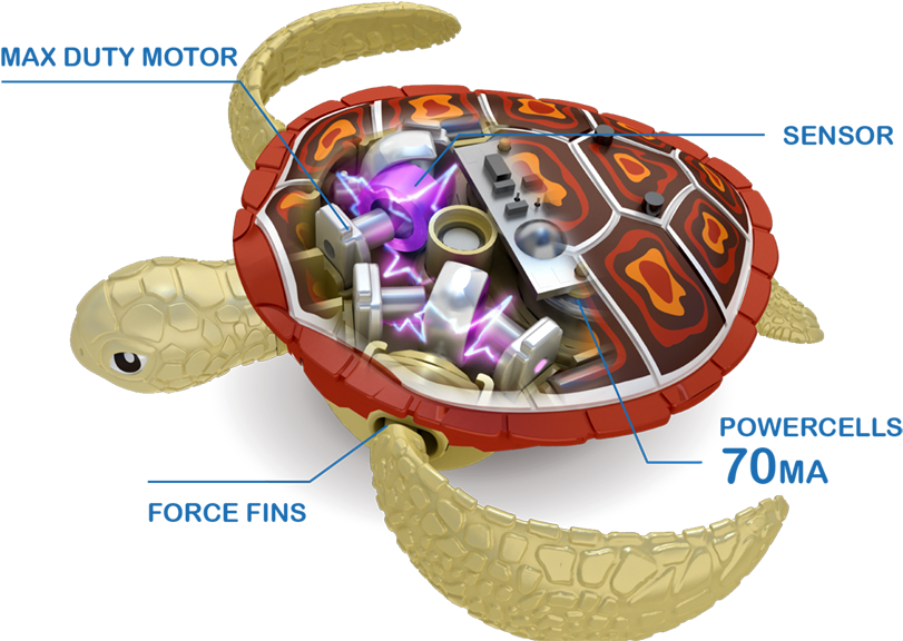 Turtle Clipart Png - Toy (1050x687), Png Download