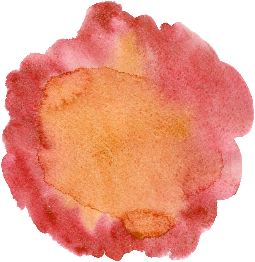 Orange Red Hand Painted Cartoon Vegetable Kitchen Transparent - Portable Network Graphics (1024x1024), Png Download