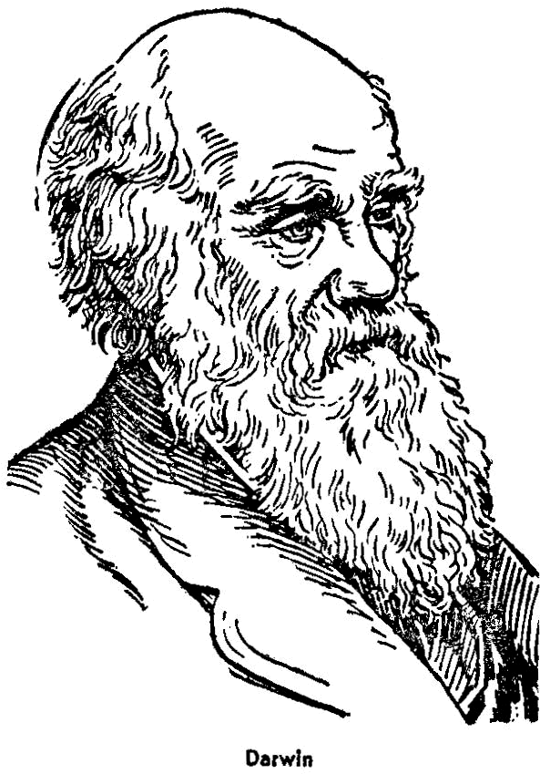 Charles Lyell And Charles Darwin Macroevolutionnet (622x867), Png Download