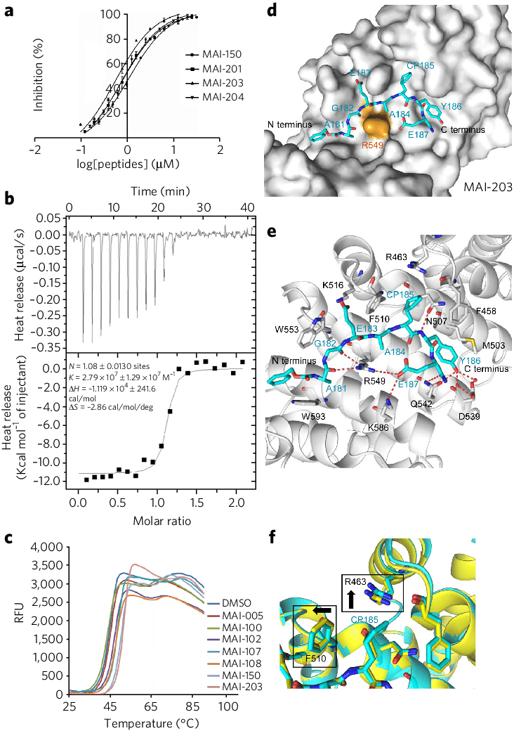 The Binding Activity And Co Crystal Structure Of Mai (732x1040), Png Download