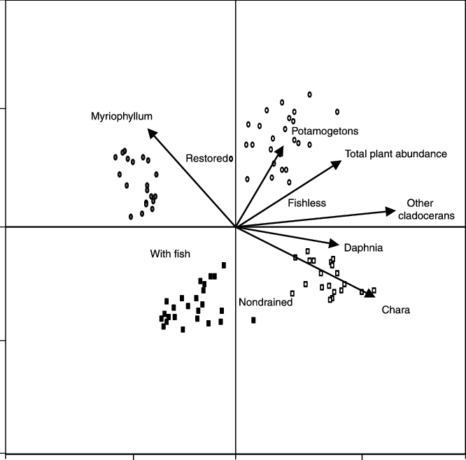Correlation Biplot Produced By Standardized Partial (666x658), Png Download
