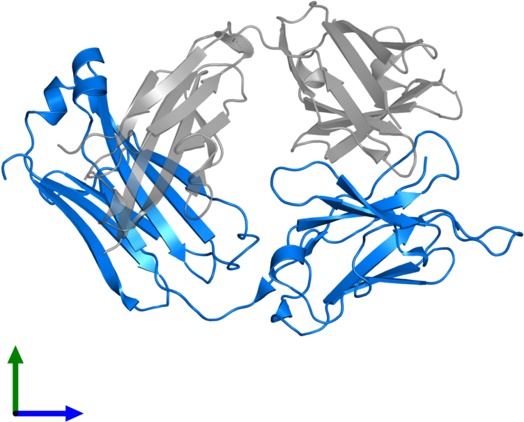 <div Class='caption-body'>pdb Entry 3c5s Contains 1 (800x800), Png Download