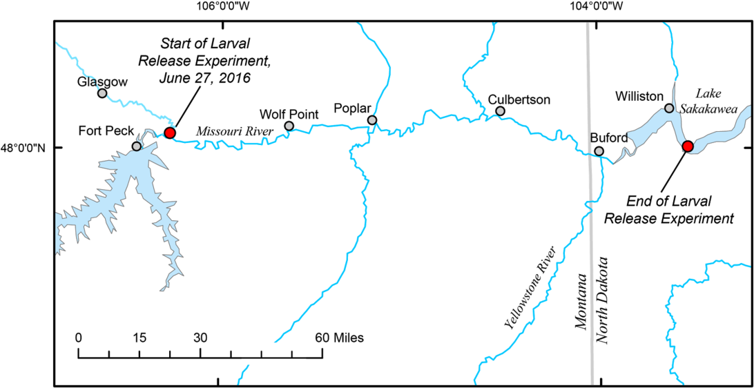 Map Showing The Upper Missouri River Study Area (1140x588), Png Download