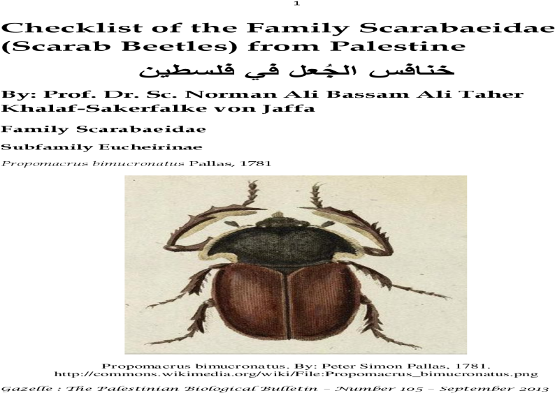 Checklist Of The Family Scarabaeidae From Palestine (1200x630), Png Download