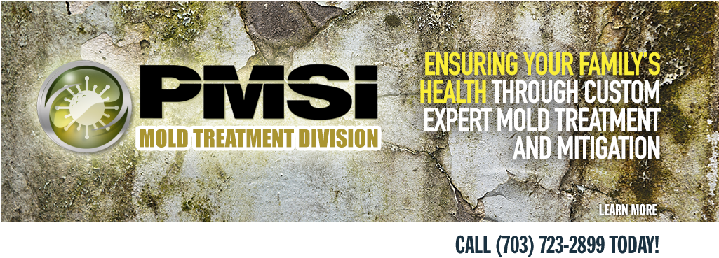 Mold Mitigation & Treatment Alexandria Va (1024x380), Png Download