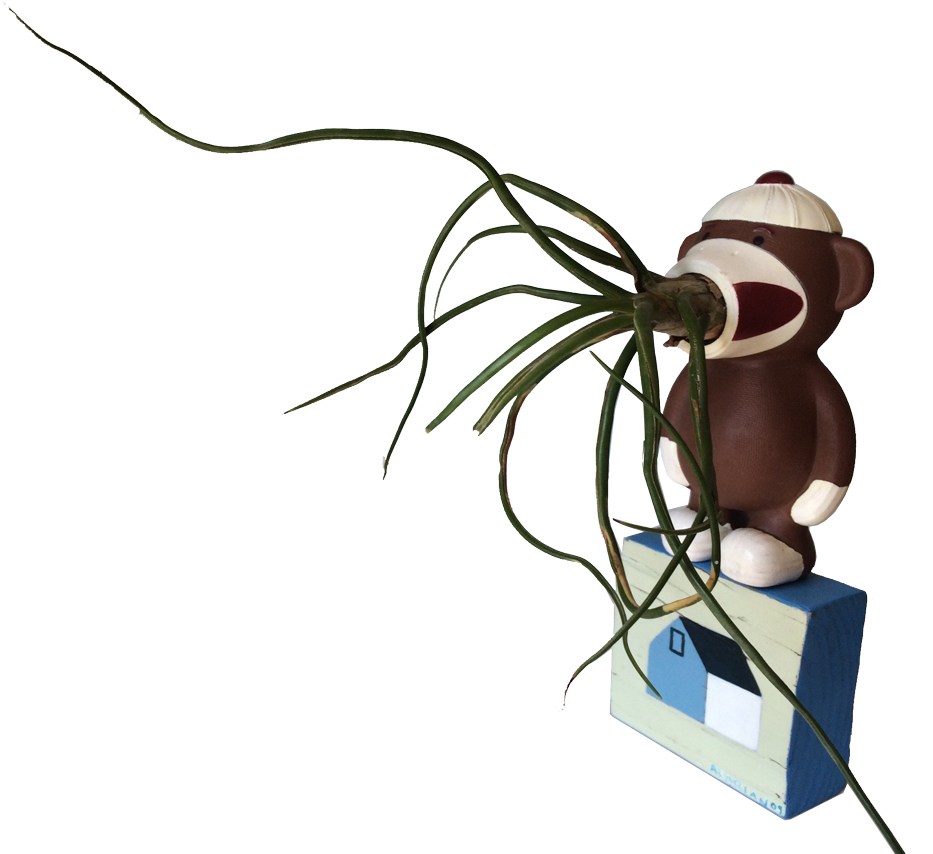 5 Proven Methods For 5-star Airbnb Reviews (1000x877), Png Download