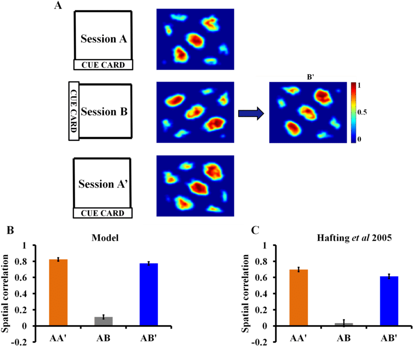 Grid Cells Anchor To Visual Cue (850x715), Png Download