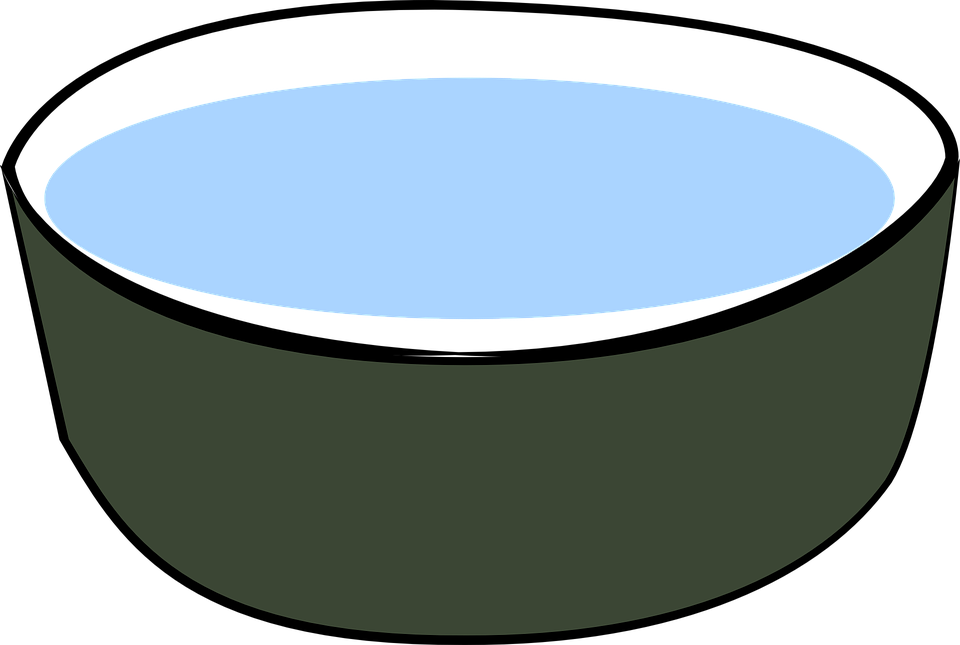 Bowl Water Drink - Water Bowl Clip Art (960x645), Png Download