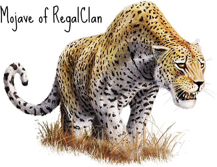 Leopard Transparent Wild Animal - Transparent Background Jaguar Png (730x565), Png Download