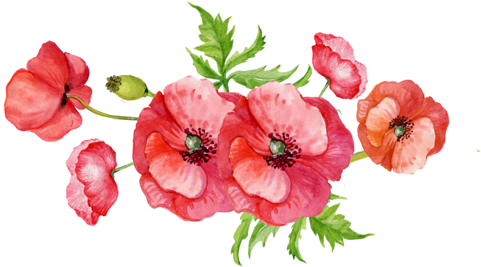 No Doubt You All Know The Last Year Has Been A Hard - The Move (1023x564), Png Download