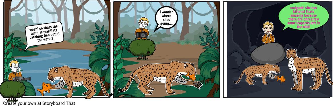 Amur Leopard (1164x385), Png Download