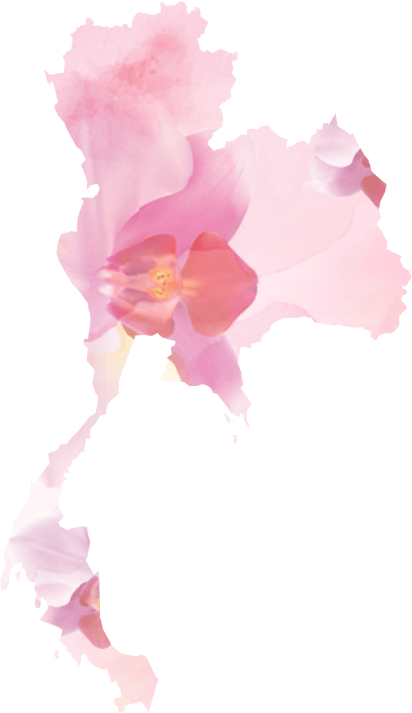 นีโอฟาร์ม ฟาร์มกล้วยไม้ ราชบุรี - Neo Farm (thailand) (616x1052), Png Download