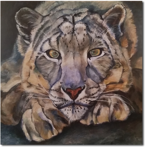 Snow Leopard (543x550), Png Download