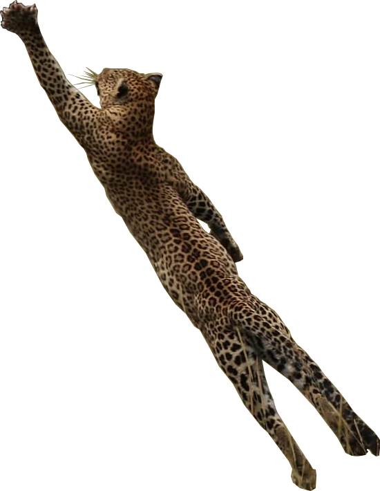 Cutout - Jaguar (550x710), Png Download