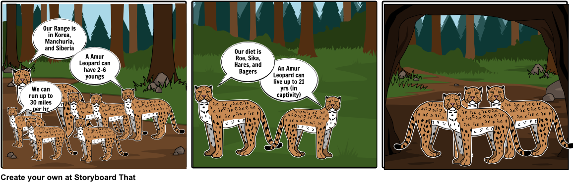 Amur Leopard - Cartoon (1164x385), Png Download