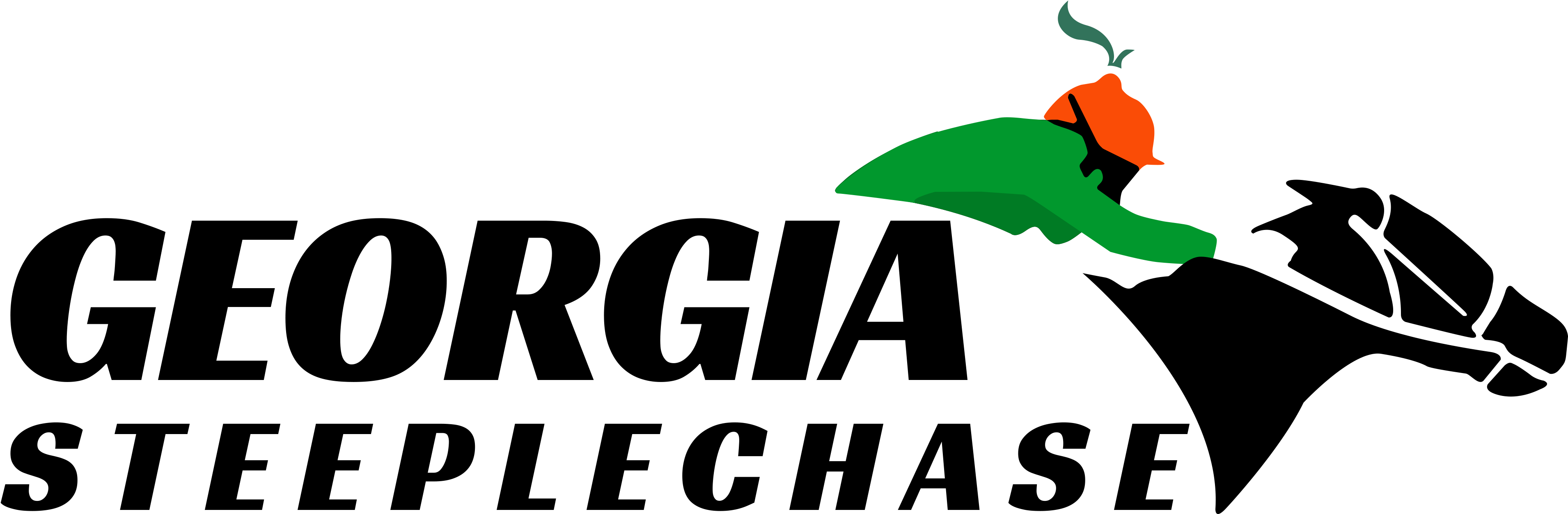 Georgia Steeplechase Inc - Horse Racing (3900x1476), Png Download