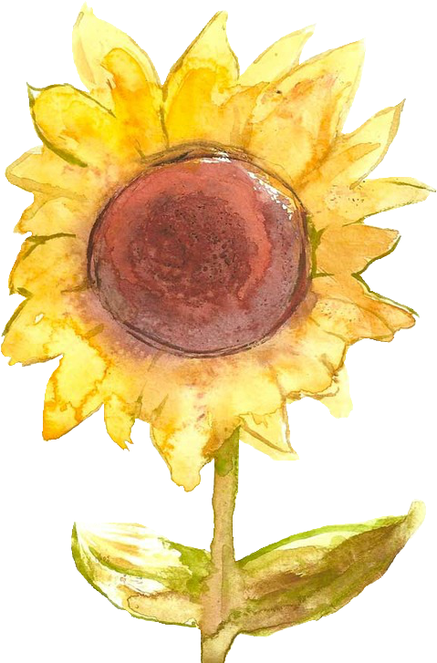 Scroll - Sunflower Necklace Oval Charm (484x750), Png Download