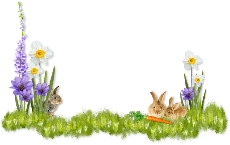 Easter Png - Bing Images - Easter Border Png (800x505), Png Download