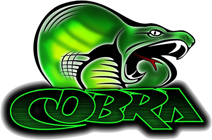 Cobra Rc Motors (800x550), Png Download