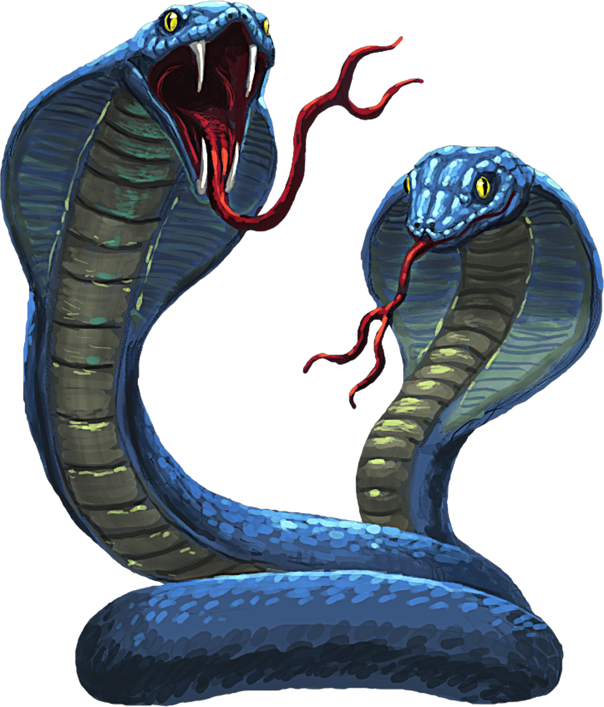 Cobra Png - Cobras En Png (1196x1400), Png Download