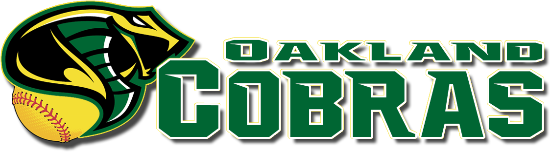 Team (1140x479), Png Download