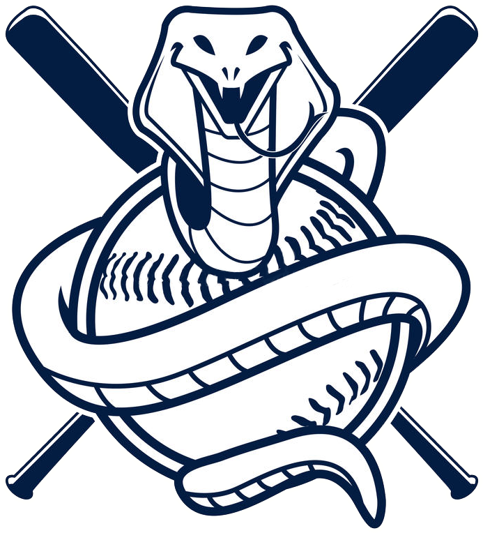 Cobra Vector Baseball (800x853), Png Download
