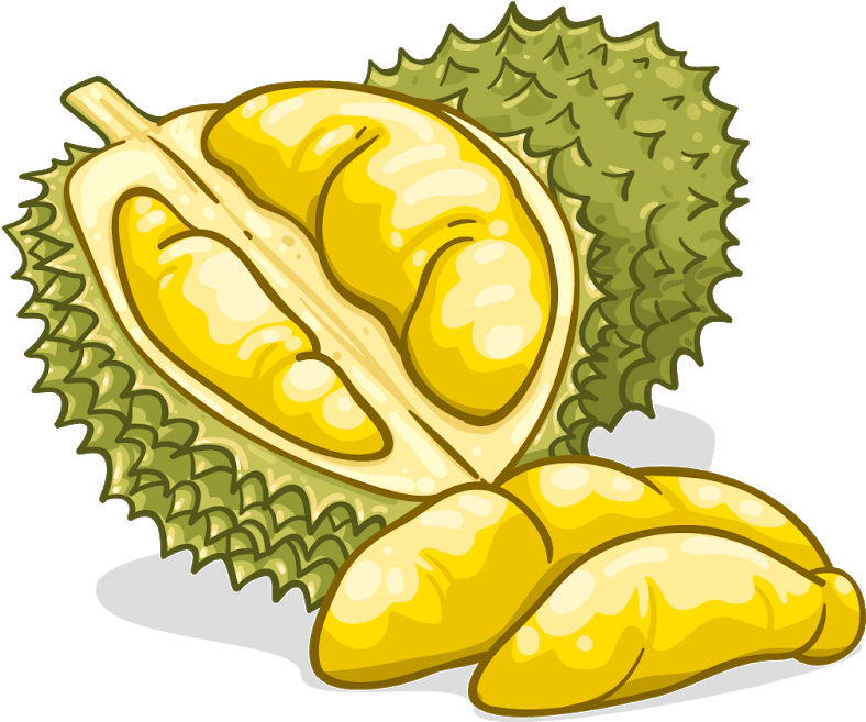 Durian Clipart (800x800), Png Download