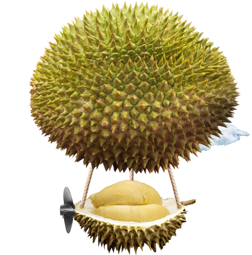 Our Freshest Durians - Food (595x550), Png Download