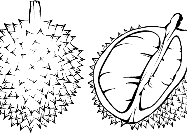 Durian Clipart Black And White - Durian Black And White (640x480), Png Download