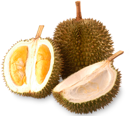 D101 - Durian (430x380), Png Download
