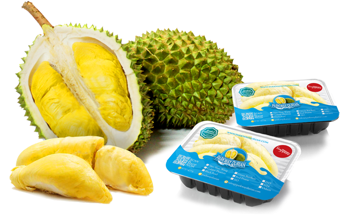 Now You Can Bring Durian Onto Buses - Durian Party (800x461), Png Download