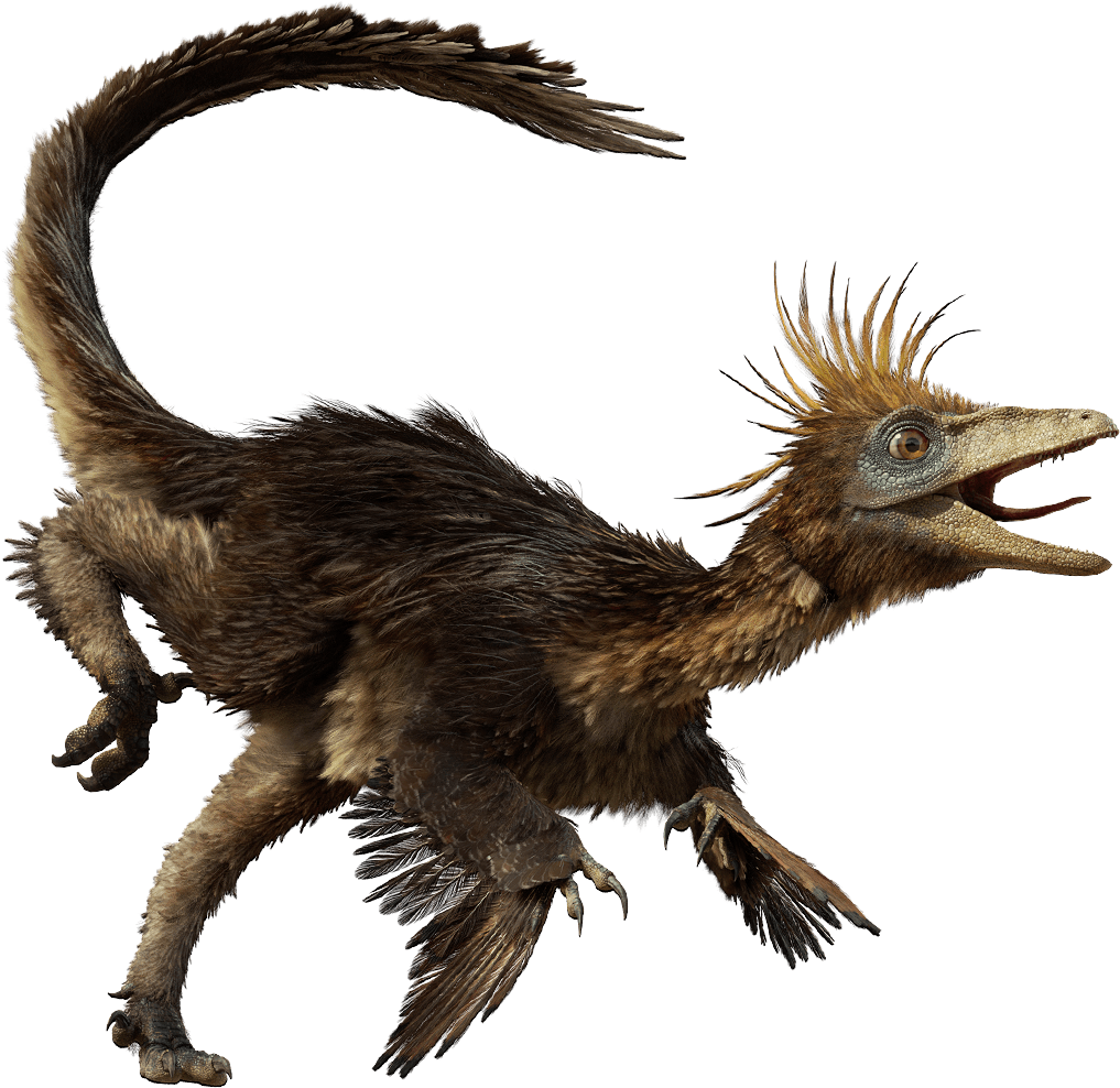Dfhj - Dinosaurs Troodon (1017x988), Png Download