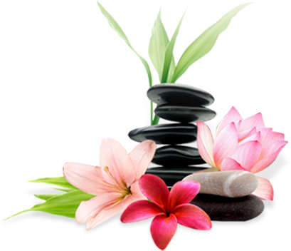 Spa - Stress Free Living (409x352), Png Download