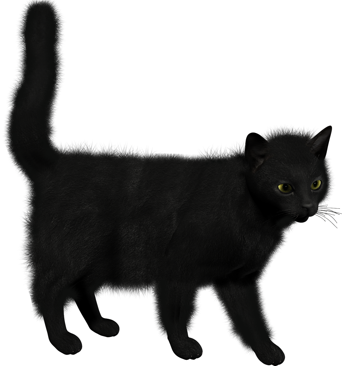 Чёрный Кот На Прозрачном Фоне (1490x1520), Png Download