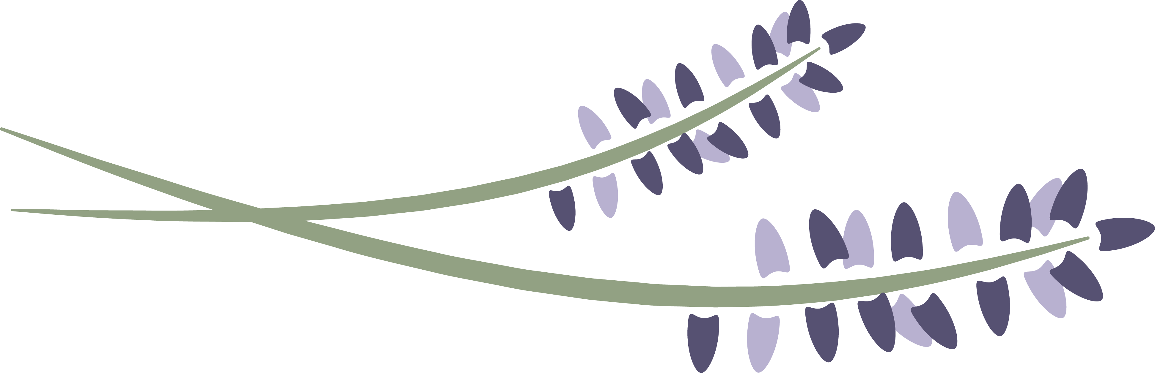 Lavenderlogohorizontal - Lavender Springs Spa Plant (3885x1256), Png Download