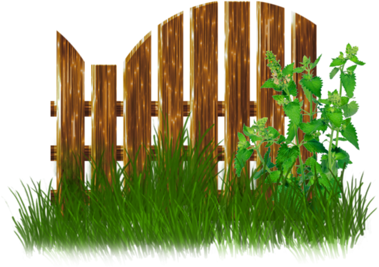 Belle - Bamboo Fence Png (500x500), Png Download