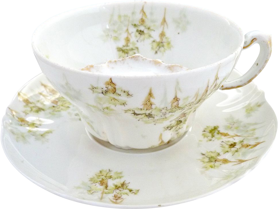 Fine Porcelain Mustache Cup From Haviland Limoges C - Teacup (1015x1015), Png Download