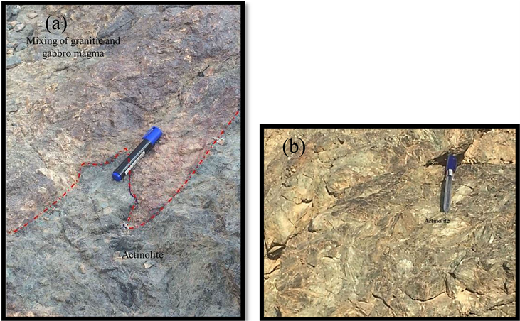A Massive Thick Amphibole Layer Has Been Developed (903x451), Png Download