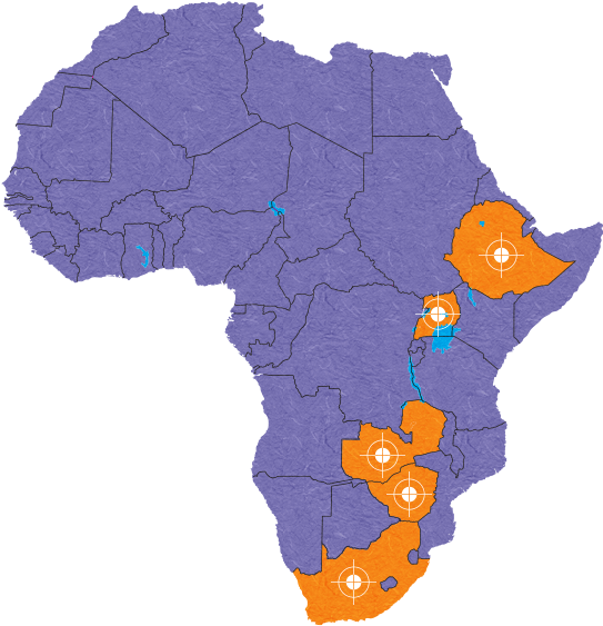 Horizon International Cares For Orphans In 5 African (545x642), Png Download