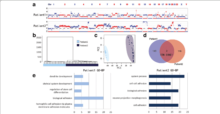 Individual Differences Between Two Patients (850x444), Png Download