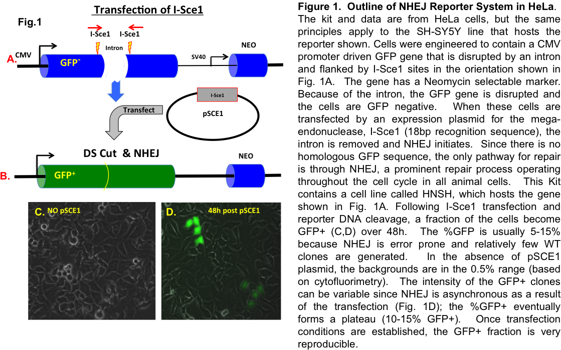 System Has Been Designed To Allow Researchers To Examine (1149x720), Png Download