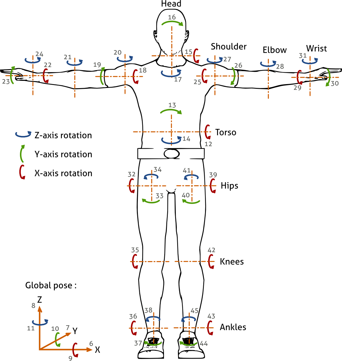 Images/human Joints (1166x1232), Png Download