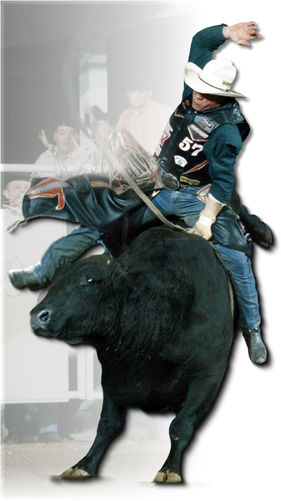 Eddie Fisher Bull Rider (568x1010), Png Download