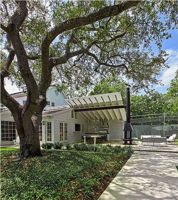 Backyard Room - Tree (1000x667), Png Download