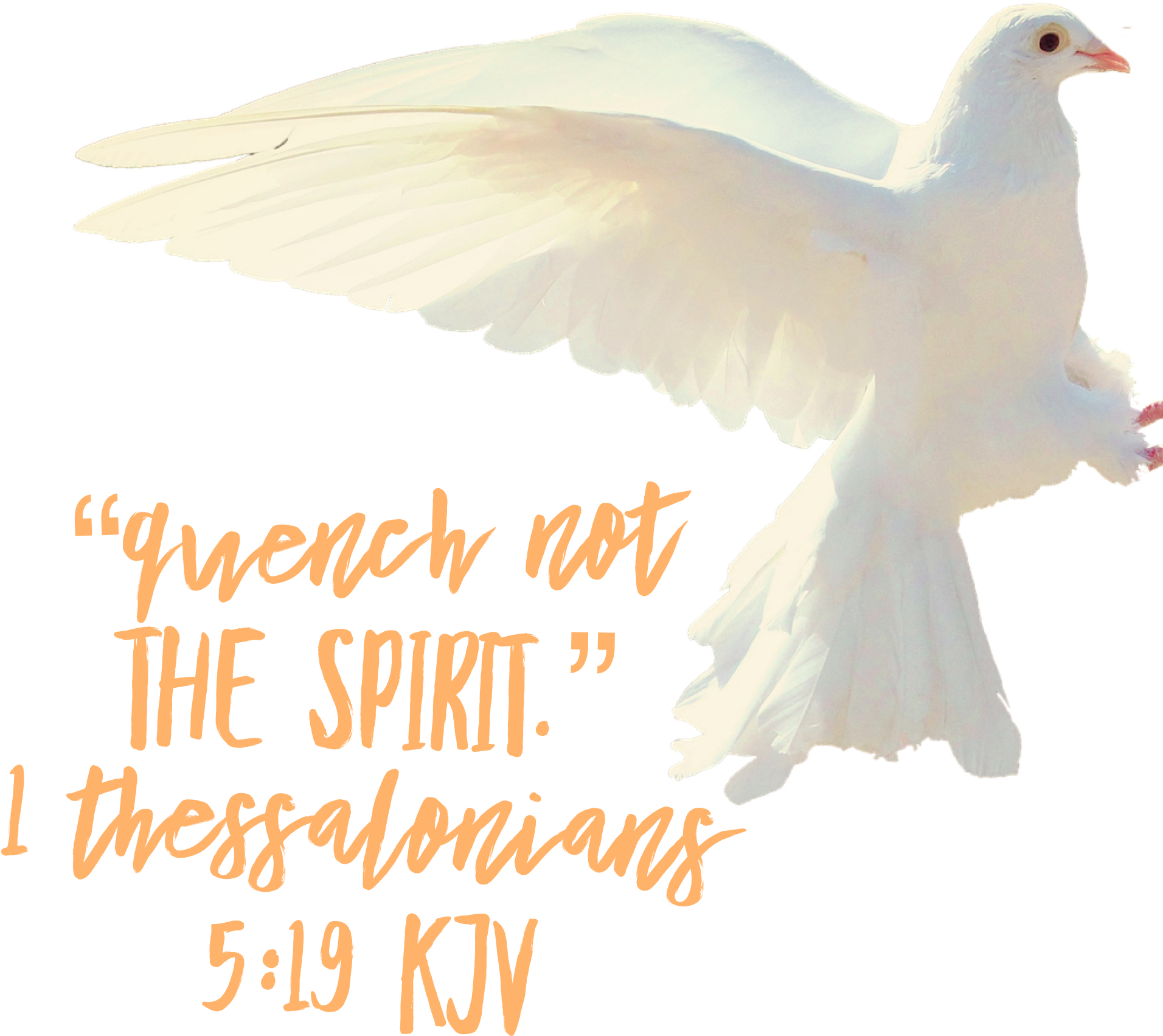 Holy Spirit - Pigeons And Doves (2048x2048), Png Download