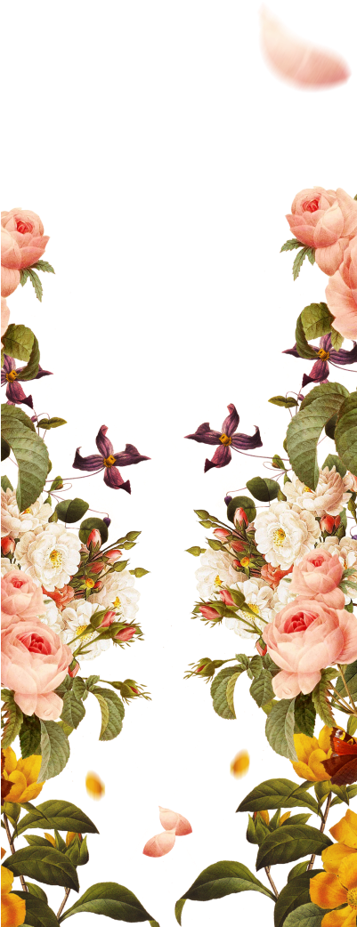 Pink Garden Painted Hand Roses Borders Flowers - Background Png งาน แต่ง (400x1055), Png Download