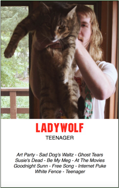 "teenager" - Cat Grabs Treat (600x600), Png Download